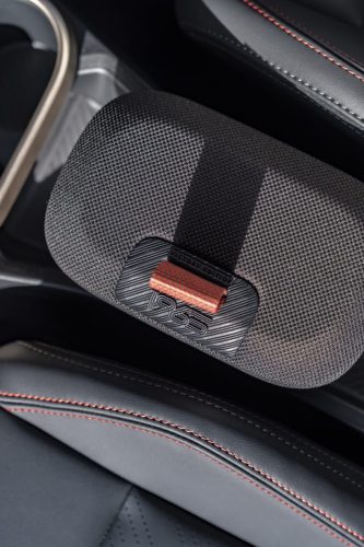 MINI-1965-Victory-Edition-1-6